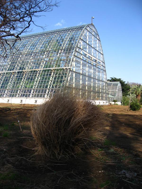 Jardin Nacional Shinjuku Gyoen, Shinjuku, Tokio, J...