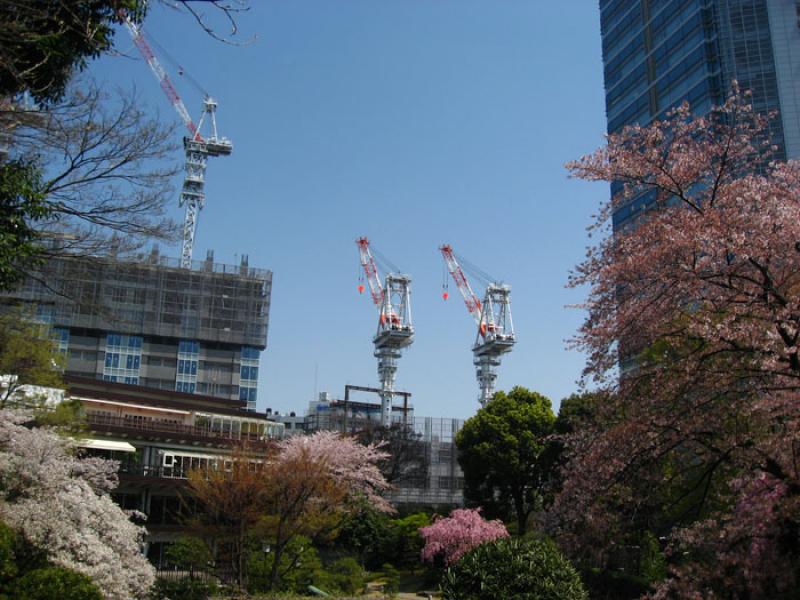 Jardin Nacional Shinjuku Gyoen, Shinjuku, Tokio, J...