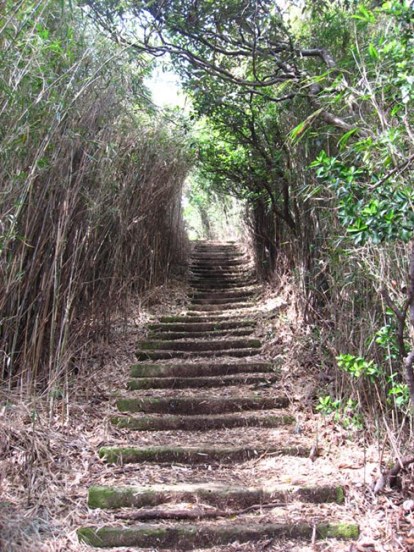 Escalas en el Campo, Tokio, Japon, Este de Asia