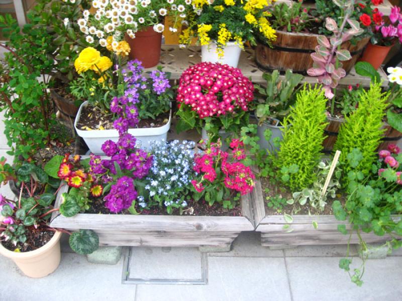 Jardin de una Vivienda, Tokio, Japon, Este de Asia