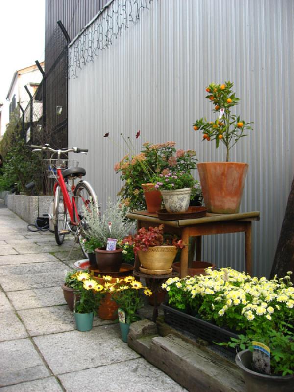 Jardin de una Vivienda, Tokio, Japon, Este de Asia