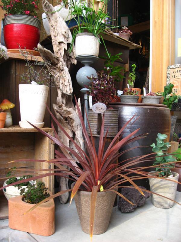 Jardin de una Vivienda, Tokio, Japon, Este de Asia