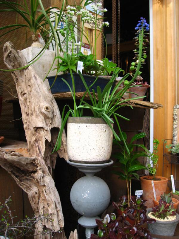 Jardin de una Vivienda, Tokio, Japon, Este de Asia