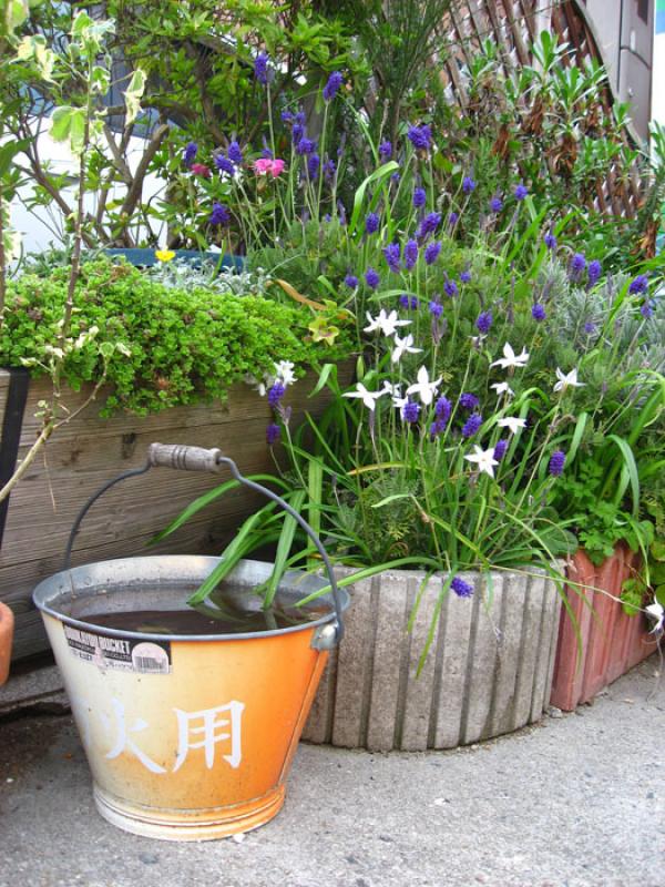 Jardin de una Vivienda, Tokio, Japon, Este de Asia