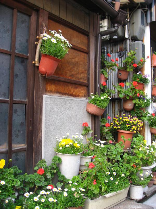 Jardin de una Vivienda, Tokio, Japon, Este de Asia