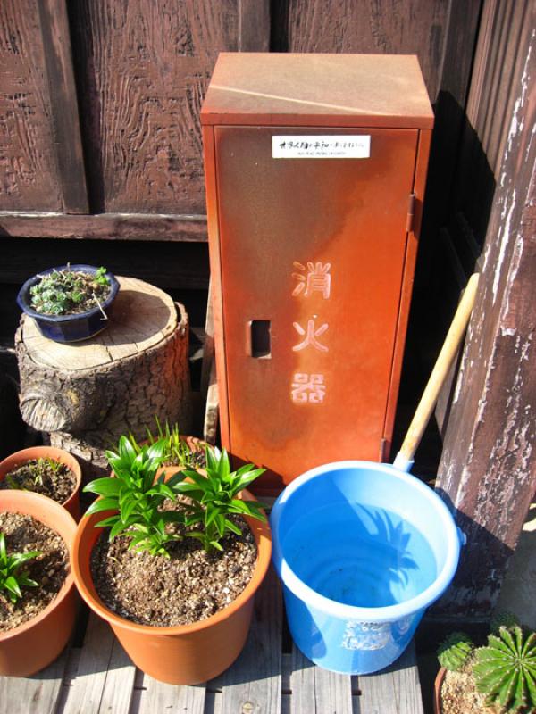 Jardin de una Vivienda, Tokio, Japon, Este de Asia