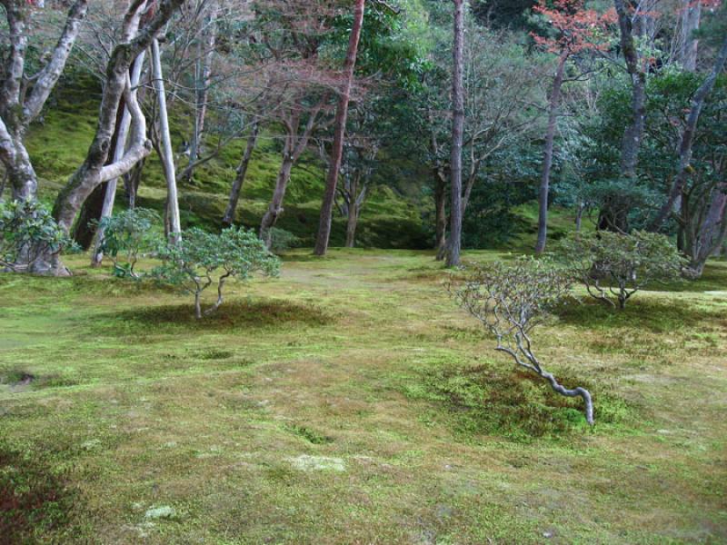 Jardin Nacional Shinjuku Gyoen, Shinjuku, Tokio, J...