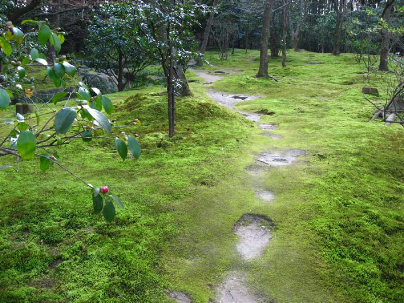 Jardin Nacional Shinjuku Gyoen, Shinjuku, Tokio, J...