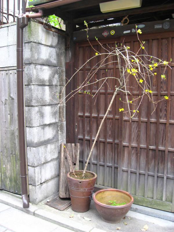 Entrada de una Vivienda, Tokio, Japon, Este de Asi...