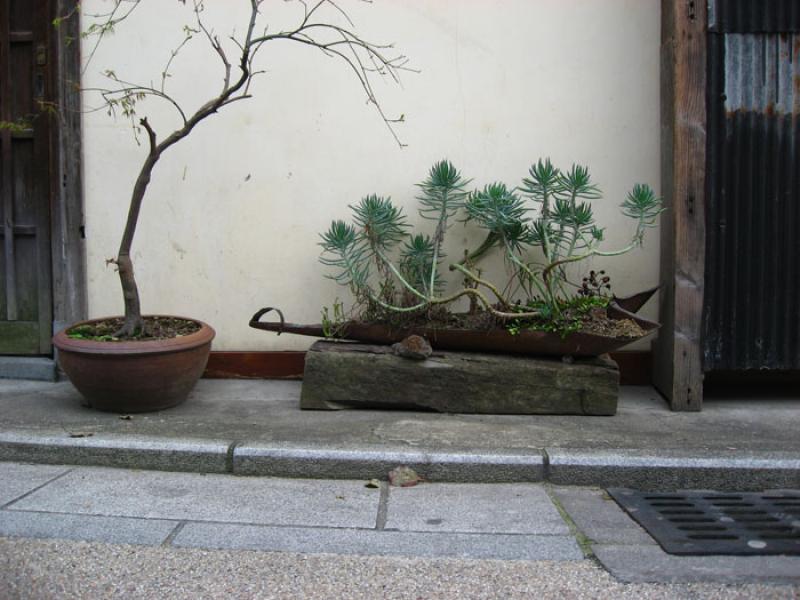 Plantas en una Vivienda, Tokio, Japon, Este de Asi...