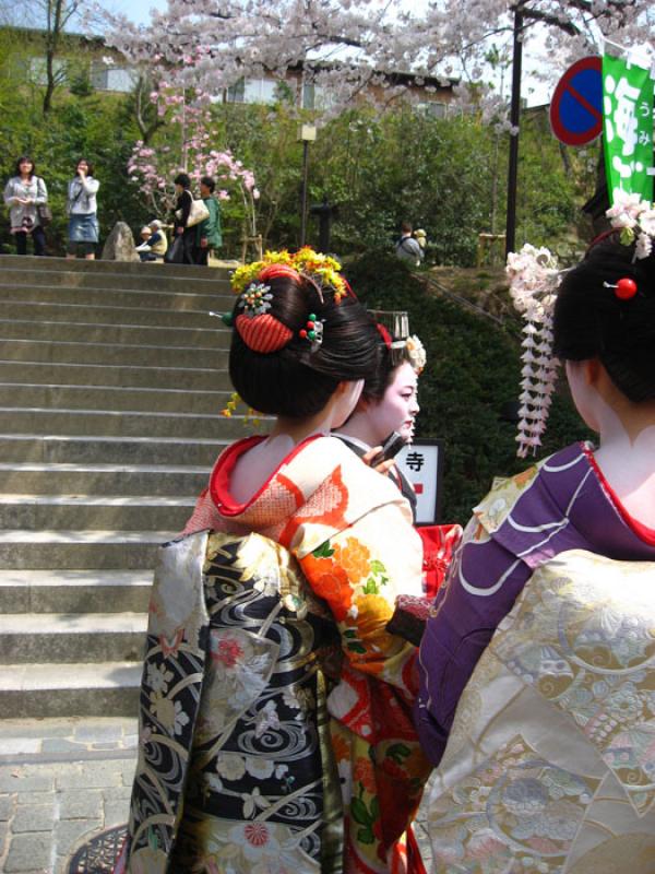 Mujeres Maiko, Gion, Kioto, Prefectura, Honshu, Ja...