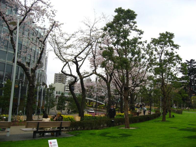 Sakura Cafe, Roppongi, Tokio, Japon, Este de Asia