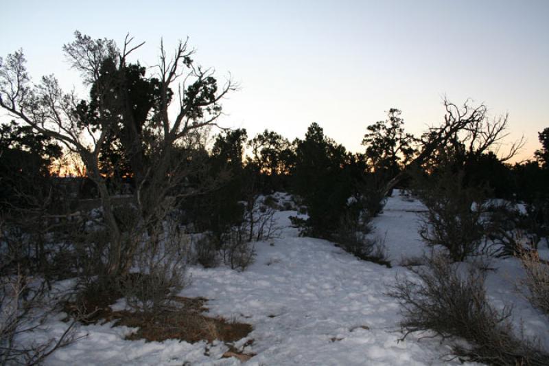 Parque Nacional del Gran CaÃ±on, Arizona, Phoeni...