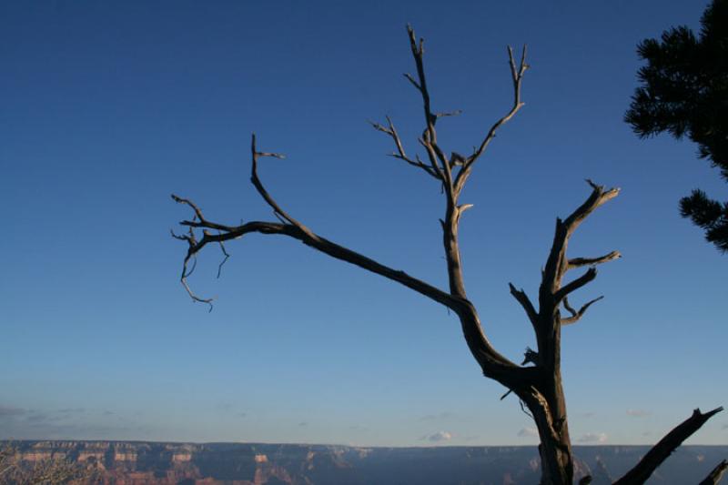 Parque Nacional del Gran CaÃ±on, Arizona, Phoeni...