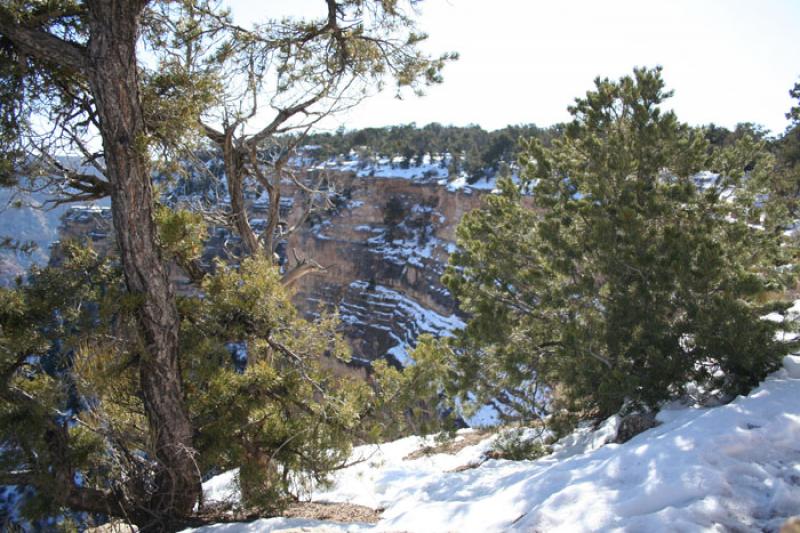 Parque Nacional del Gran CaÃ±on, Arizona, Phoeni...