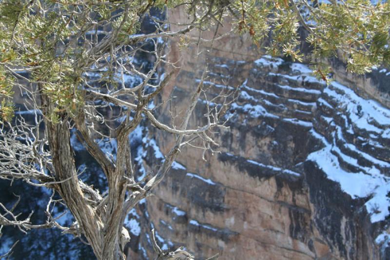 Parque Nacional del Gran CaÃ±on, Arizona, Phoeni...