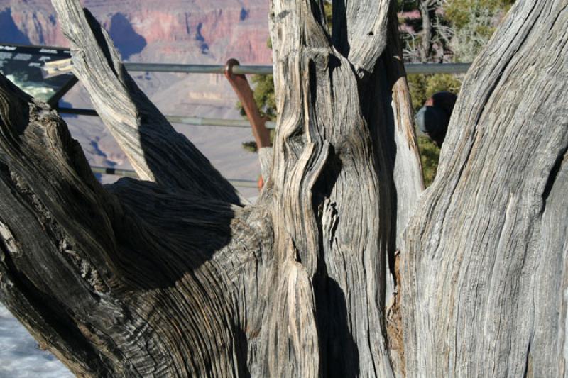 Parque Nacional del Gran CaÃ±on, Arizona, Phoeni...