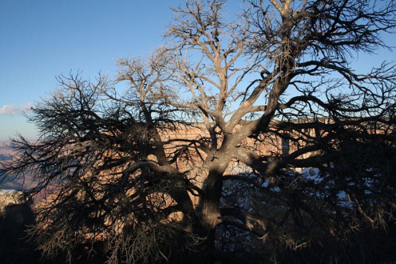 Parque Nacional del Gran CaÃ±on, Arizona, Phoeni...