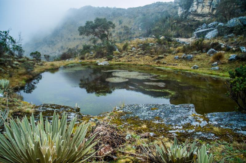 Laguna Negra, Parque Nacional Natural Los Nevados,...