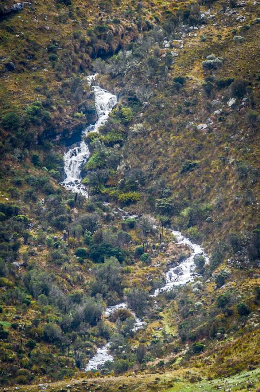 Parque Nacional Natural Los Nevados, Risaralda, Pe...