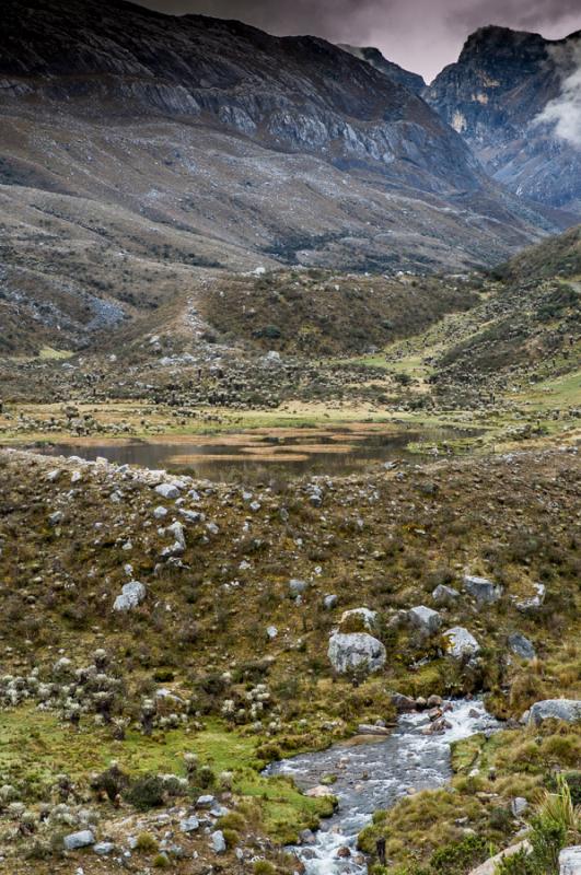 Parque Nacional Natural Los Nevados, Risaralda, Pe...