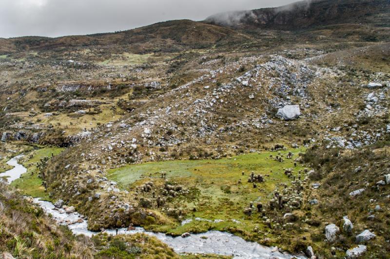 Parque Nacional Natural Los Nevados, Risaralda, Pe...