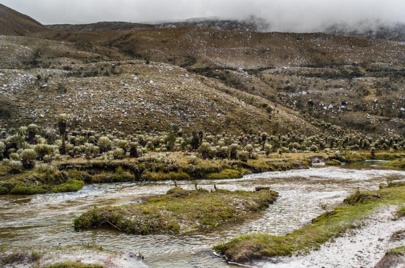 Parque Nacional Natural Los Nevados, Risaralda, Pe...