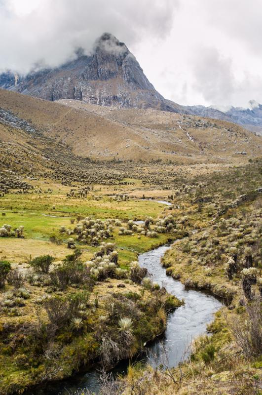 Parque Nacional Natural Los Nevados, Risaralda, Pe...