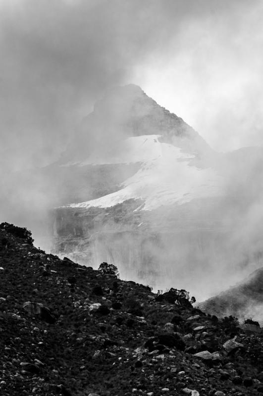 Parque Nacional Natural Los Nevados, Risaralda, Pe...