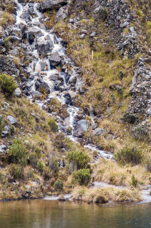 Parque Nacional Natural Los Nevados, Risaralda, Pe...