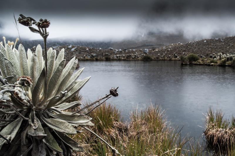 Laguna del Otun, Parque Nacional Natural Los Nevad...