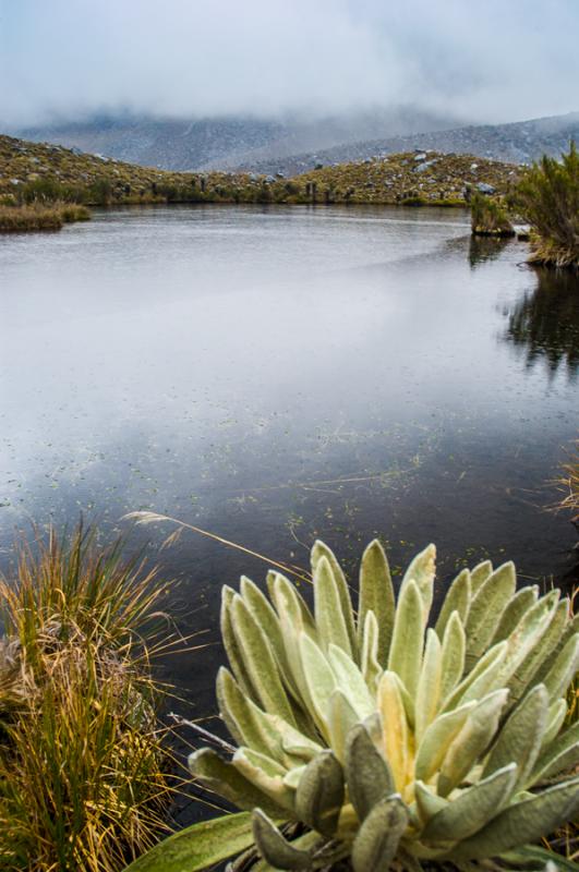 Laguna del Otun, Parque Nacional Natural Los Nevad...