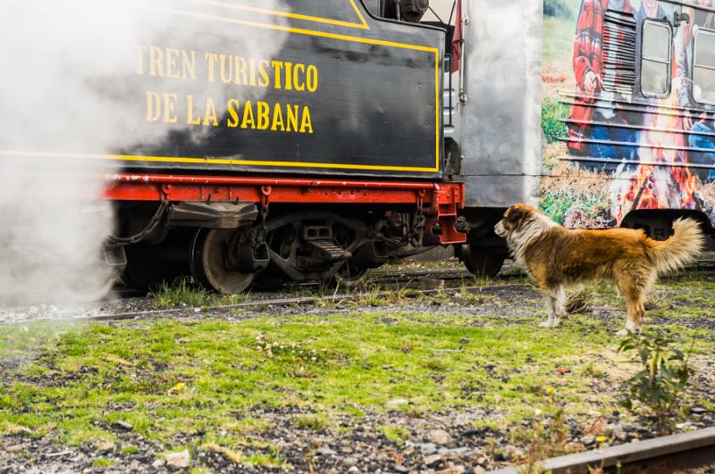 Tren Turistico, Sabana de Bogota, Bogota, Cundinam...