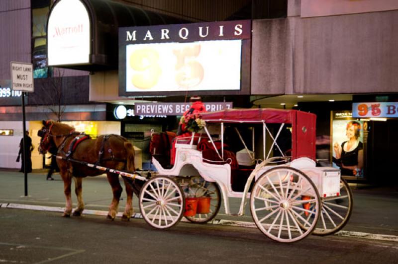 Carruaje en Times Square, Manhattan, Nueva York, E...