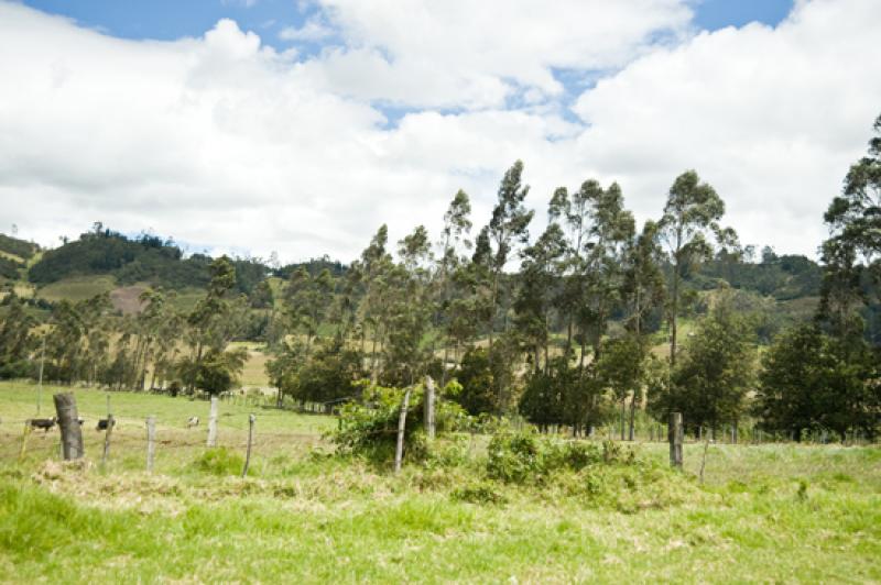 Paisaje de Boyaca, Tunja, Colombia