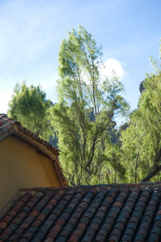 Tejado de una Vivienda