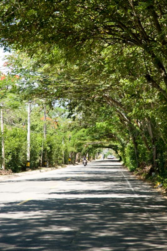 Carretera de Santa Fe de Antioquia, Antioquia, Col...