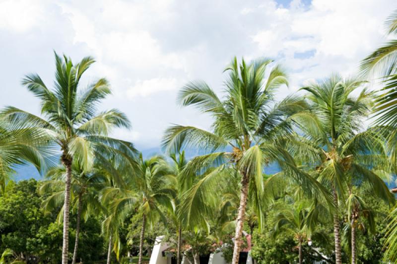 Hotel Santa Fe Colonial, Santa Fe de Antioquia, An...