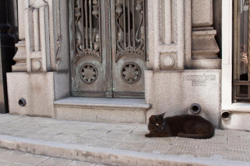 Cementerio de la Recoleta, Recoleta, Buenos Aires,...