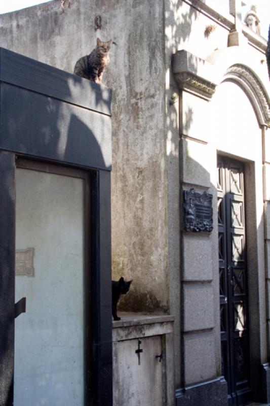 Cementerio de la Recoleta, Recoleta, Buenos Aires,...