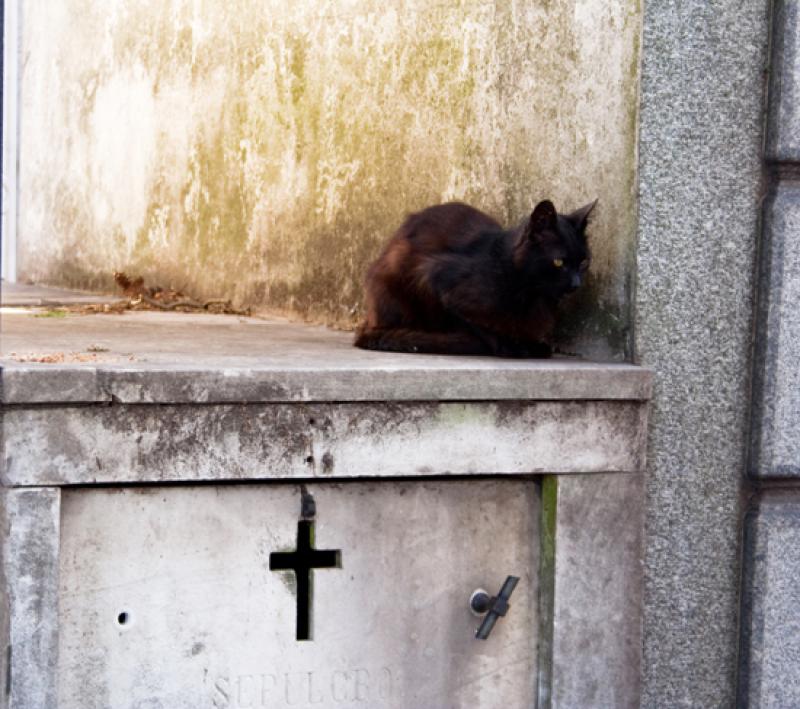 Cementerio de la Recoleta, Recoleta, Buenos Aires,...