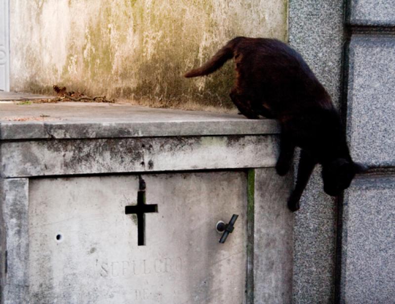 Cementerio de la Recoleta, Recoleta, Buenos Aires,...