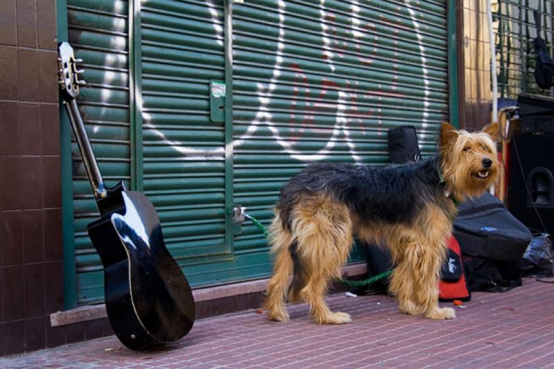 San Telmo, Buenos Aires, Argentina, Sur America