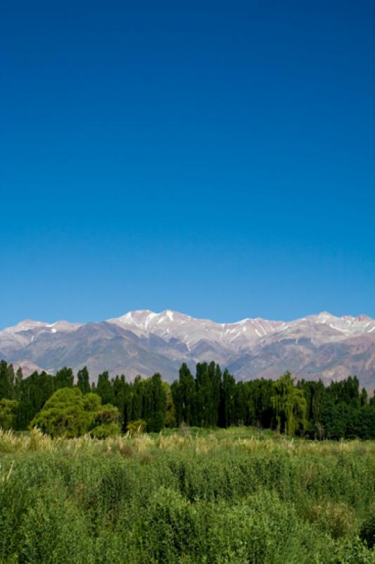 Paisaje de Mendoza, Argentina, Sur America