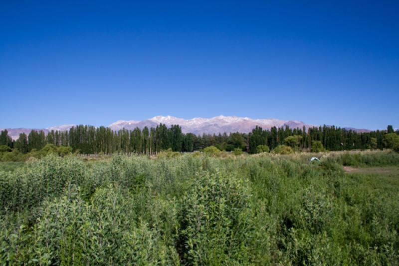 Paisaje de Mendoza, Argentina, Sur America