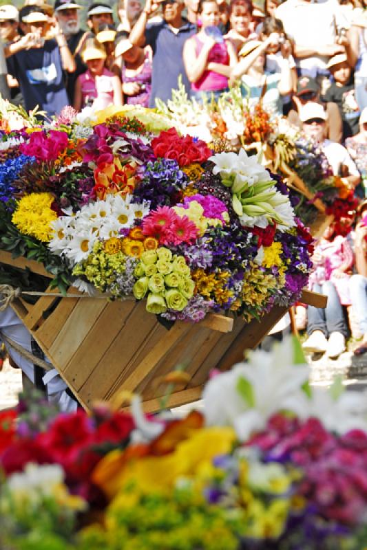 Desfile de Silleteros, Medellin, Antioquia, Colomb...