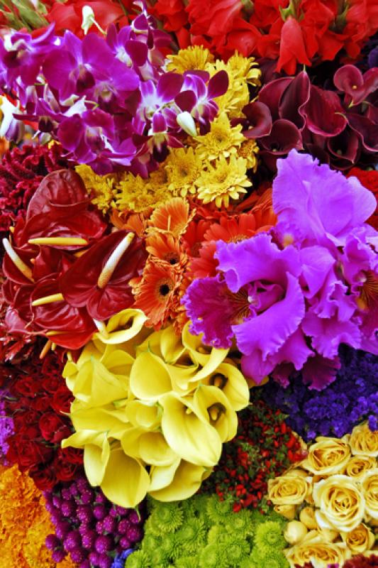 Feria de Flores, Medellin, Antioquia, Colombia