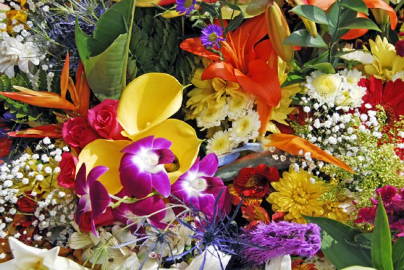 Feria de Flores, Medellin, Antioquia, Colombia