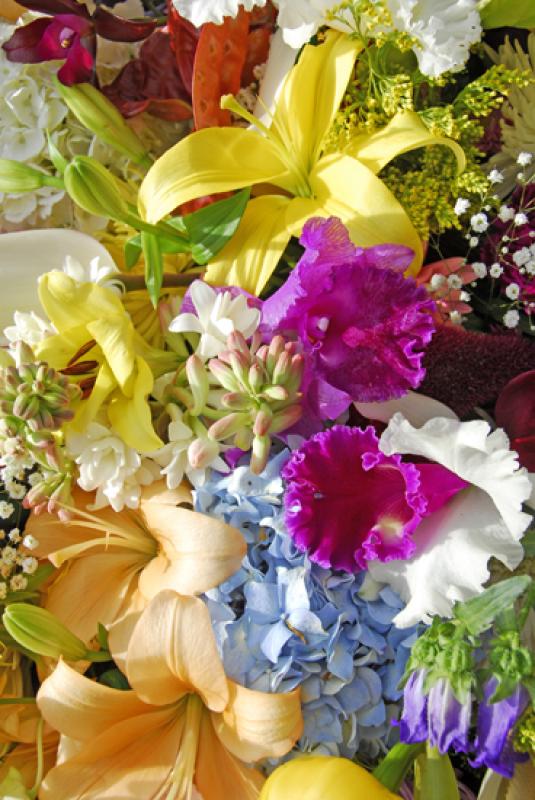 Feria de Flores, Medellin, Antioquia, Colombia