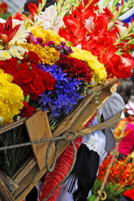 Desfile de Silleteros, Medellin, Antioquia, Colomb...